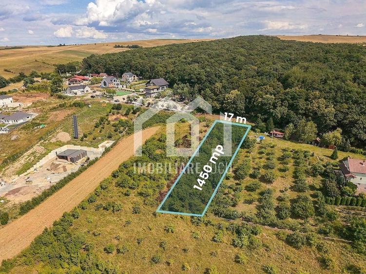 Teren de 1450 mp, în Jucu