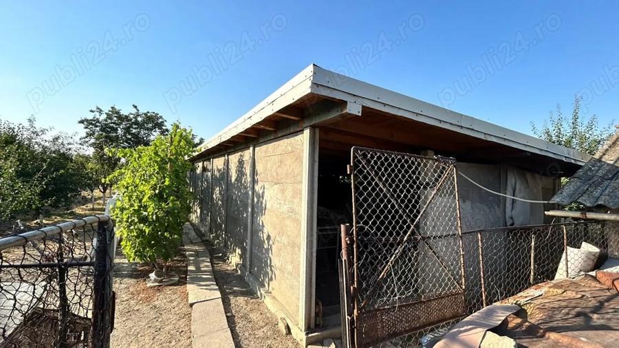 Casă cu 4 camere cu Teren 1450 Mp în Jebel