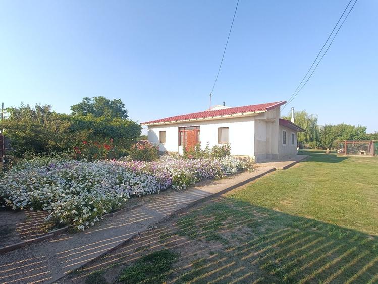 Casă cu 4 camere cu Teren 2771 Mp în Slobozia Nouă