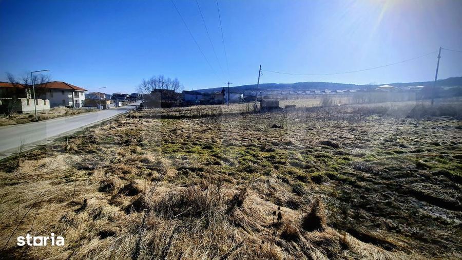 Teren de 556 mp, în Chinteni