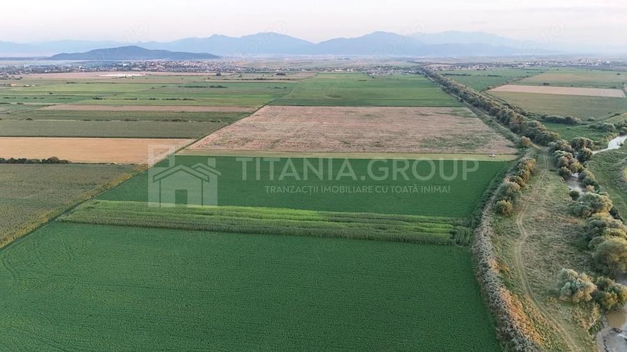 Teren extravilan, 8700 mp, pretabil agricultura sau investi?ie - Bod - 5