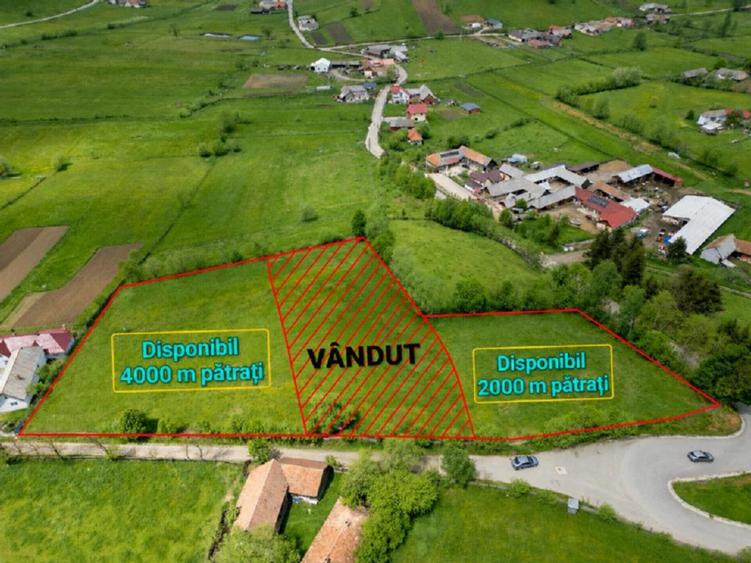 Teren Construcții intravilan de 6000 mp, în Barcani