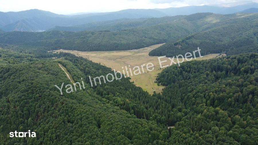 Teren de vanzare pe Transfagara?an, zona Molivi?u ( 69.450 mp ) - 20