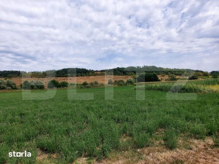 Teren de 27500 mp, în Iclod