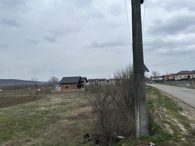 Teren de 720 mp, în Plavia