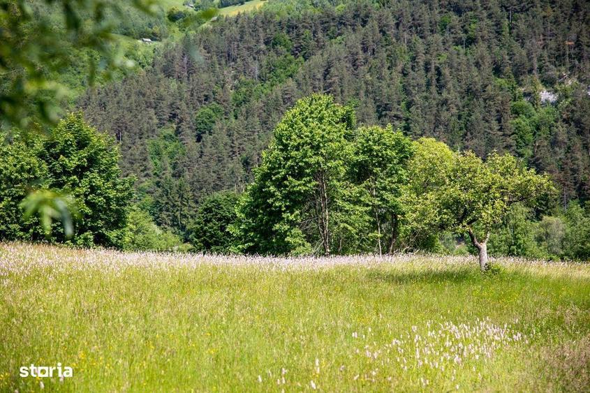 Teren intravilan - 1.050 mp in Bran cu utilitati priveli?te Bucegi - 7