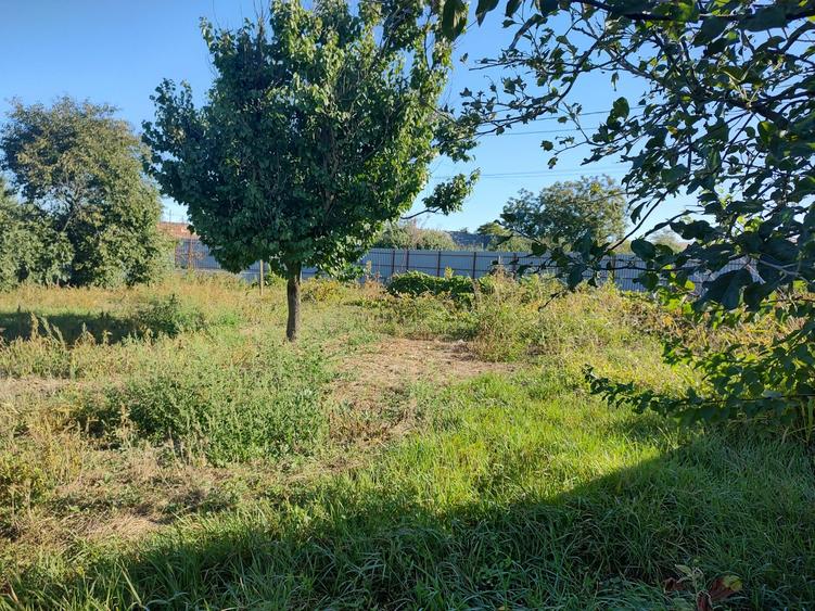 Casă individuală cu 6 camere cu Canalizare în Enisala