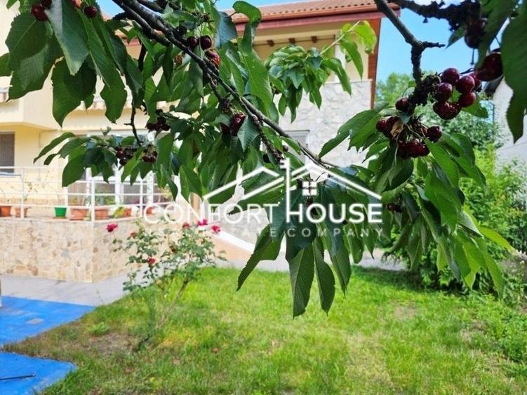 Vila D+P+E+M, teren 898mp, piscina, IANCU NICOLAE-Cambridge School - 8