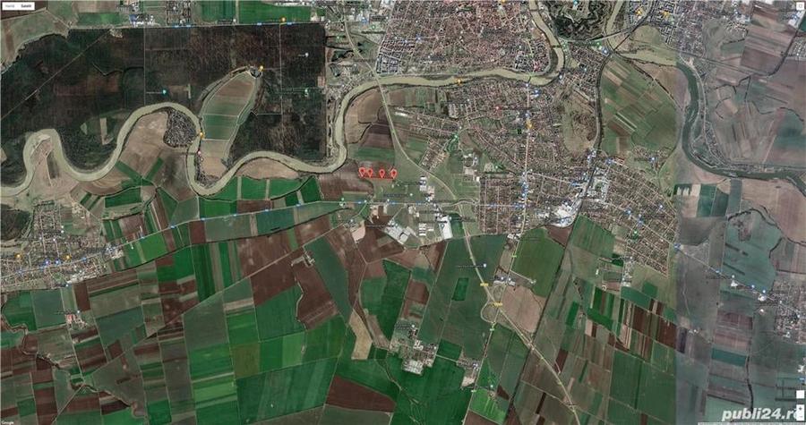 Teren de 5000 mp, în Sud