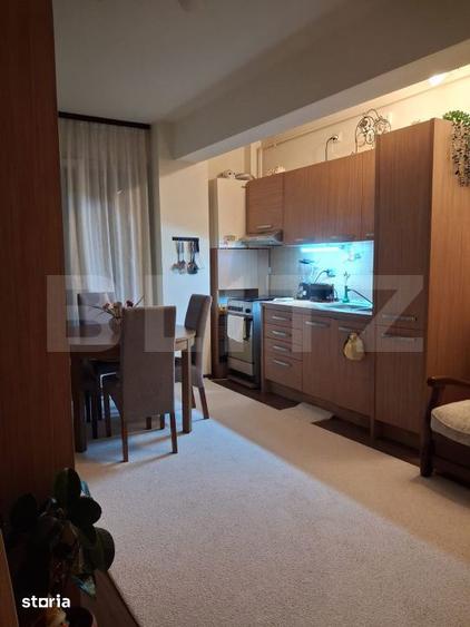Apartament cu 2 camere, mobilat în Mănăștur — fotografia 1