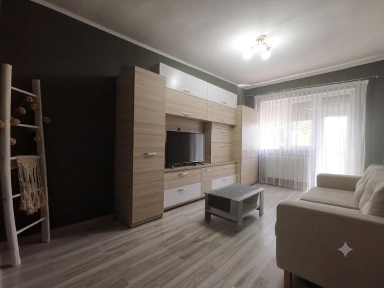 Apartament cu 2 cam de inchiriat, zona Piata 1 Decembrie, Oradea, Pet Friendly - 3
