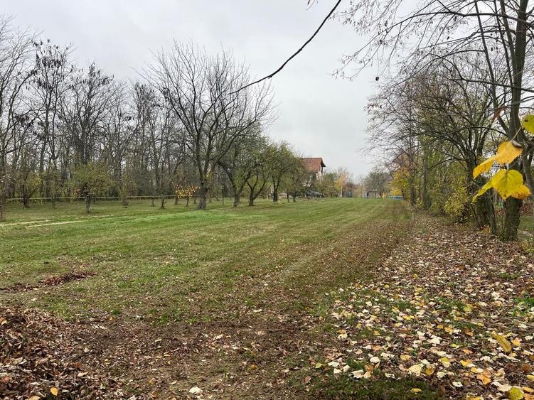 Teren Construcții intravilan de 8000 mp, în Ghermănești