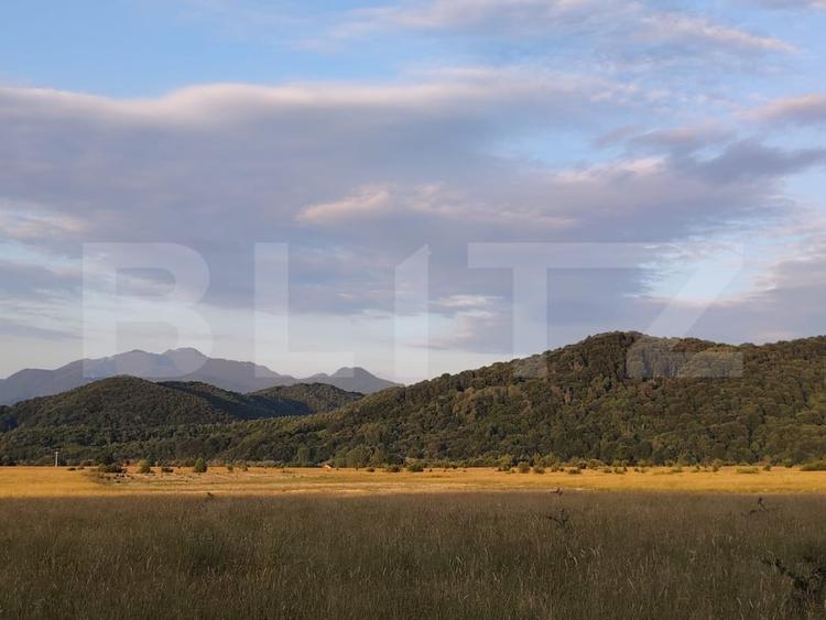 Teren agricol extravilan de 7000 mp, în Caragiale