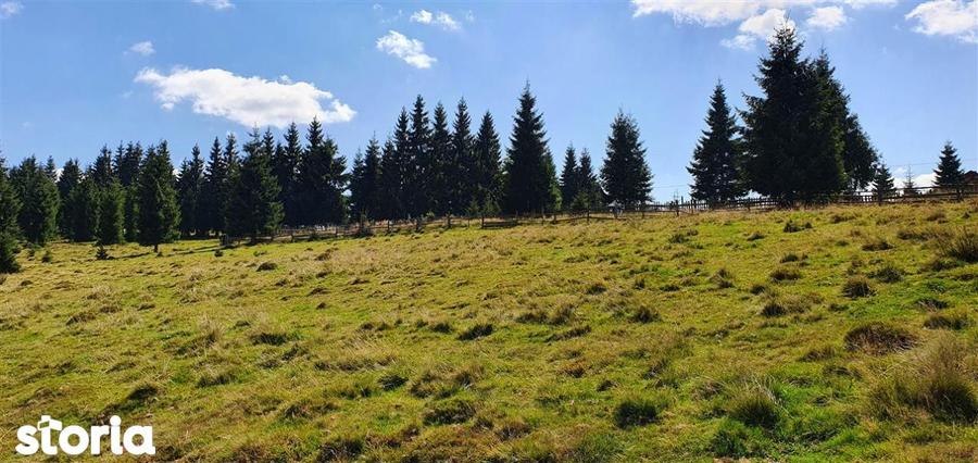 Teren de 10800 mp, în Beliș