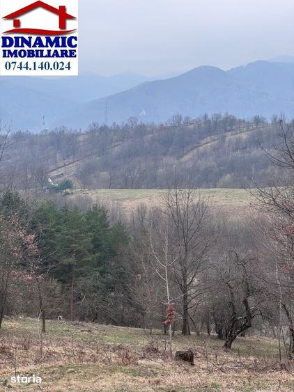 Teren de 6000 mp, în Alexandru cel Bun
