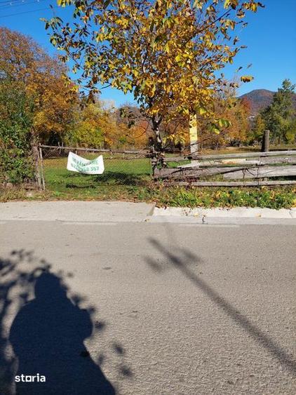 Teren de 3352 mp, în Alexandru cel Bun