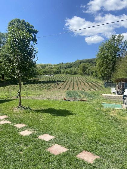 Casă cu Teren 6400 Mp în Samarinești