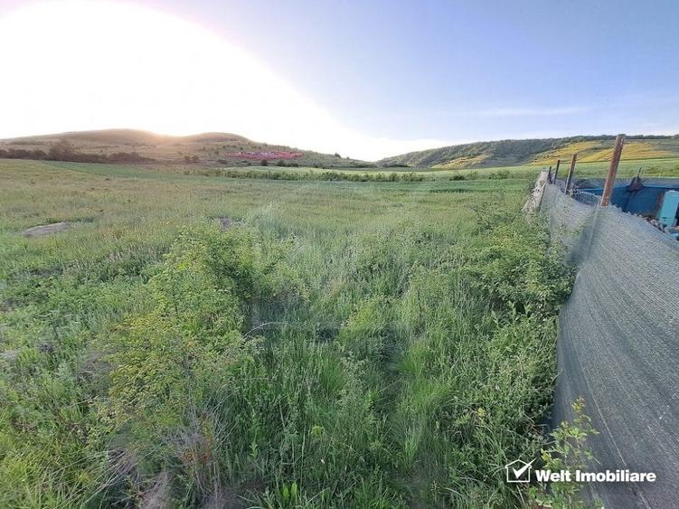 Teren agricol extravilan de 2900 mp, în Florești