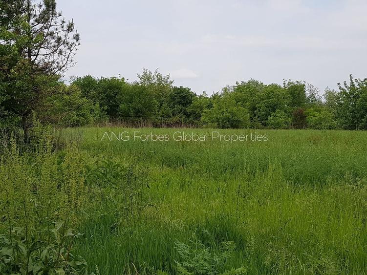 Teren agricol extravilan de 19996 mp, în Snagov
