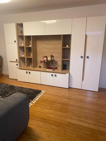 Apartament cu 2 camere decomandat în Luminiș
