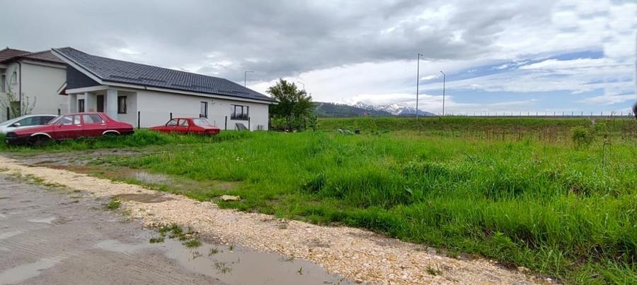 Teren Construcții intravilan de 800 mp, în Cristian