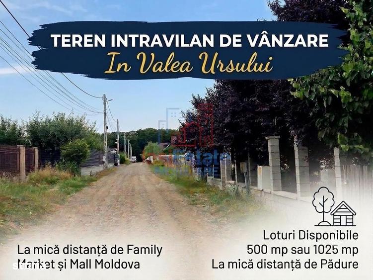 Spațiu comercial, în Valea Ursului
