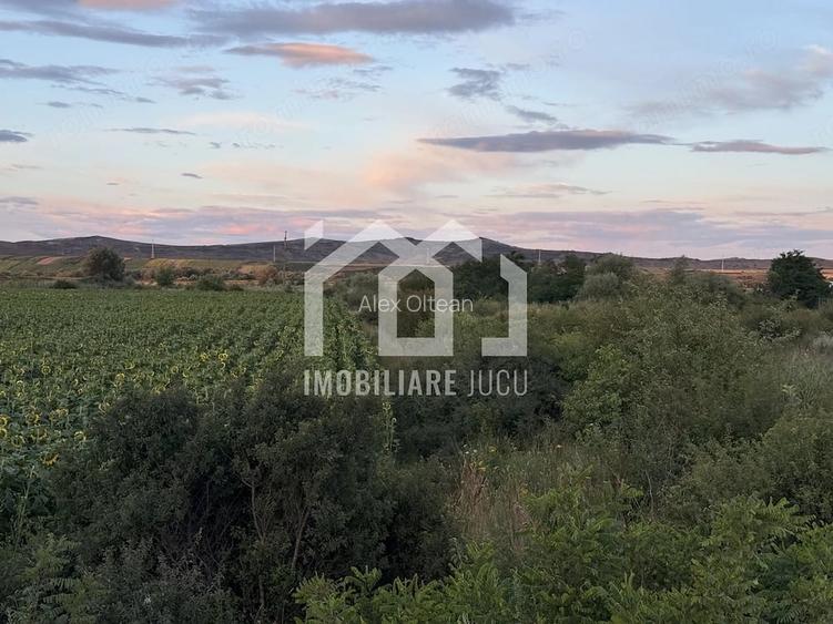 Teren 7.194 mp | Rascruci Zona Tetarom