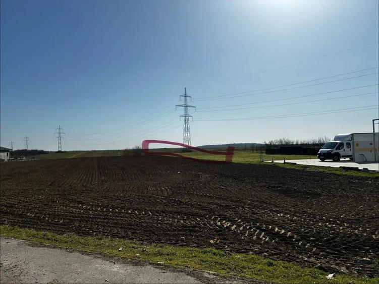 Teren de 3000 mp, în Movila (Niculești)
