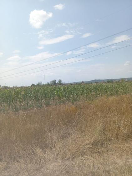 Teren in Osorhei - 1