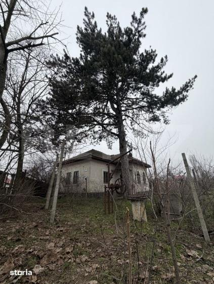 Casă cu 3 camere cu Teren 2714 Mp în Dobrești