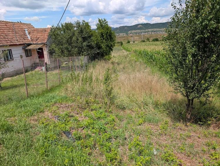 Casă cu Teren 3000 Mp în Albești