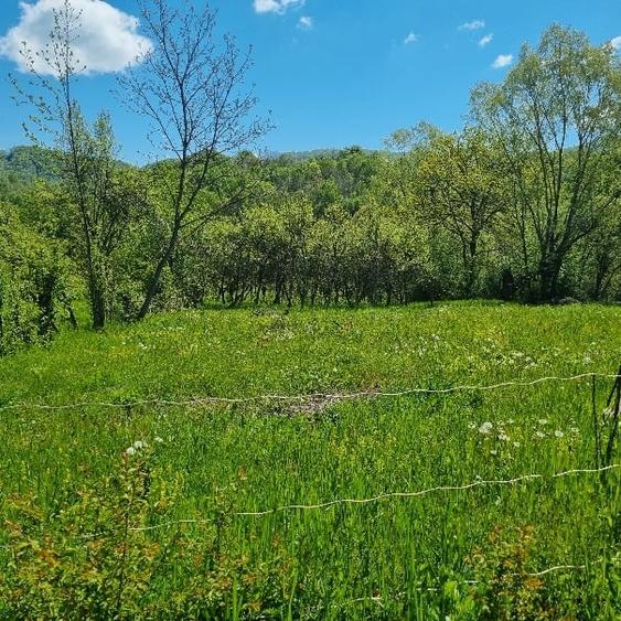 Teren intravilan de 2500 mp, în Berislăvești