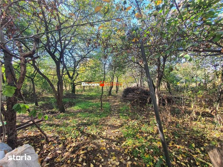 Casă cu 2 camere cu Teren 719 Mp în Sud