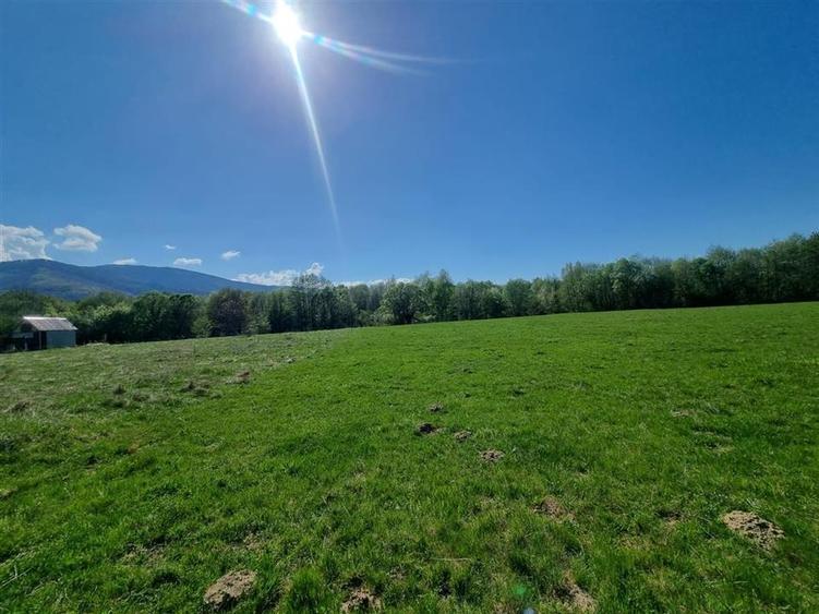 Teren Construcții extravilan de 20000 mp, în Sebeș