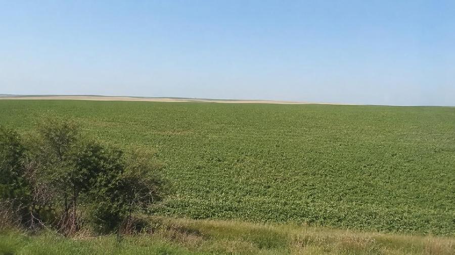 Teren agricol extravilan de 2300 mp, în Udești