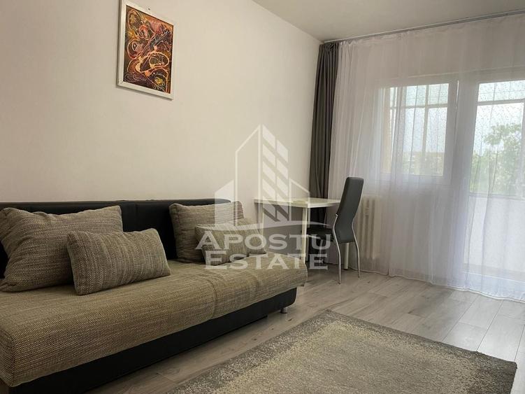 Apartament 1 camera Micalaca - 3