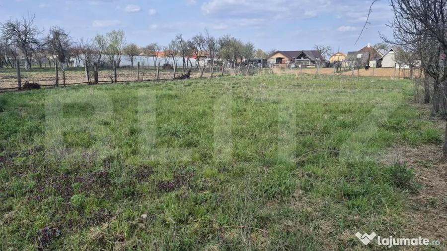 Teren intravilan de vanzare, 1399 mp, in localitatea Micula - 6