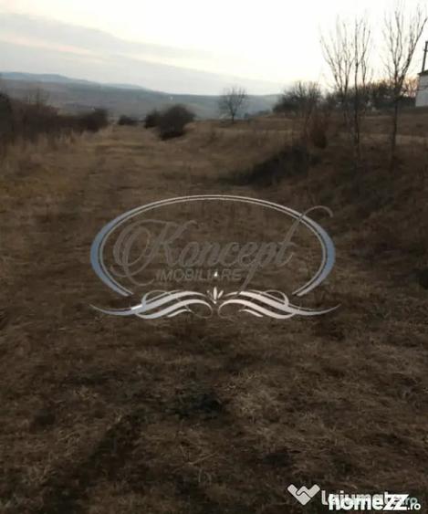 Ciurila, teren 773 mp cu autorizatie de construire - Ciurila (Cluj) - 9
