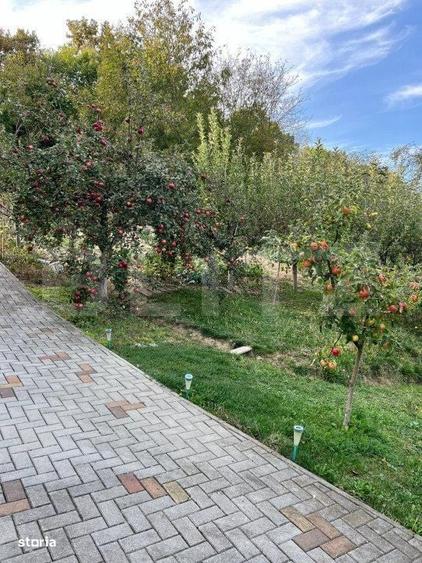 Teren intravilan, podul Jelnei foarte aproape de oras,11 Arii. - 4