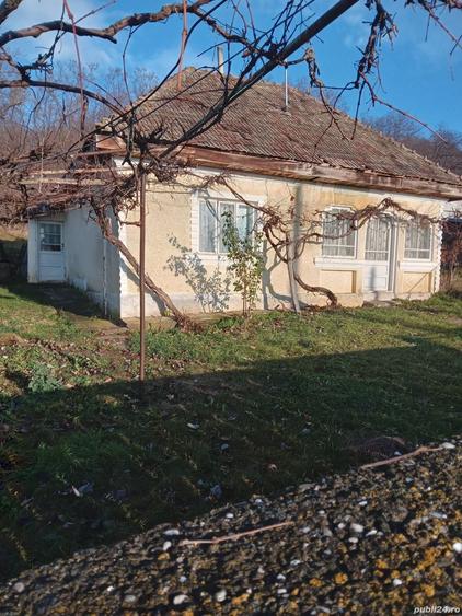 Casă cu 2 camere cu Teren 3754 Mp în Costișa