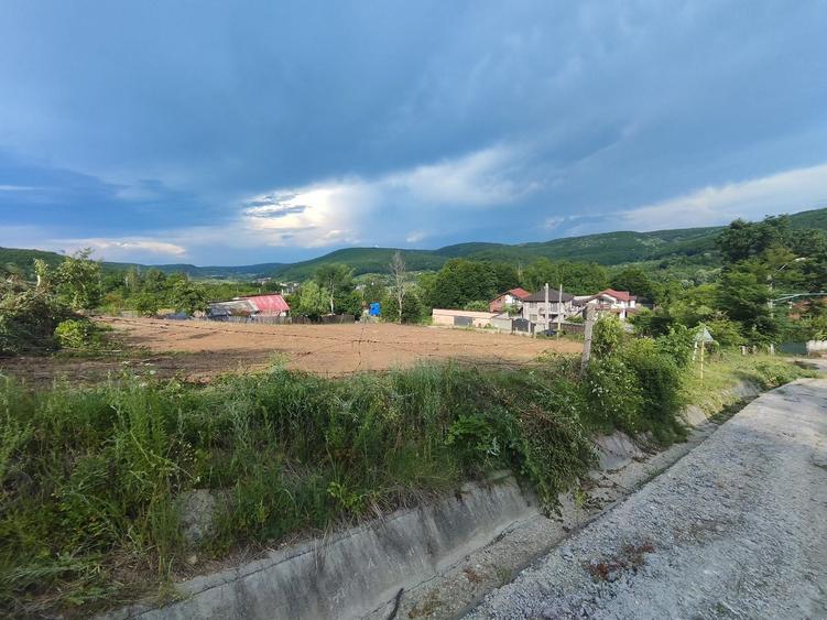 Spațiu comercial, în Central