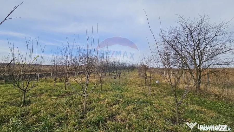 Teren de 10791 mp, în Fălticeni