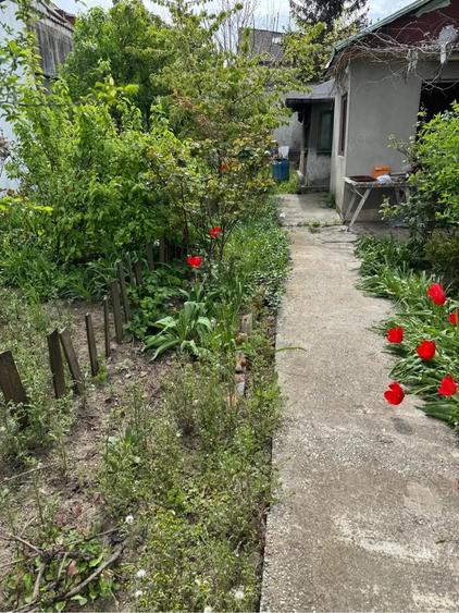 Teren de vanzare Baneasa Dobrogeanu Gherea Intrarea Ruginita 610 mp zona exclusivista - 6