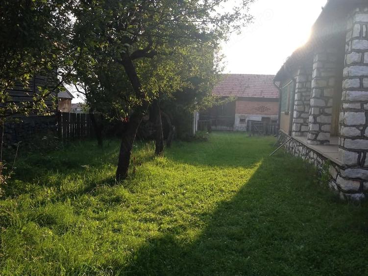 Casă cu Teren 1600 Mp în Lăzarea