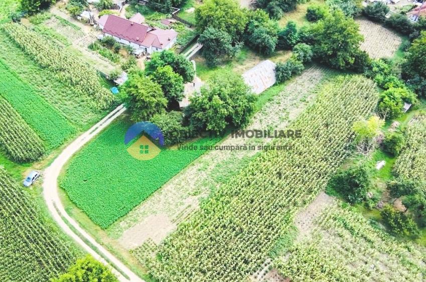 Teren intravilan de 4133 mp, în Boțești