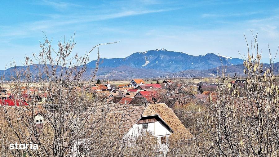 Teren de 17000 mp, în Central