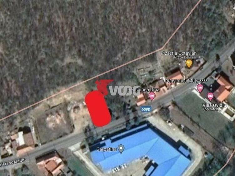 Teren Construcții intravilan de 1660 mp, în Băile Herculane