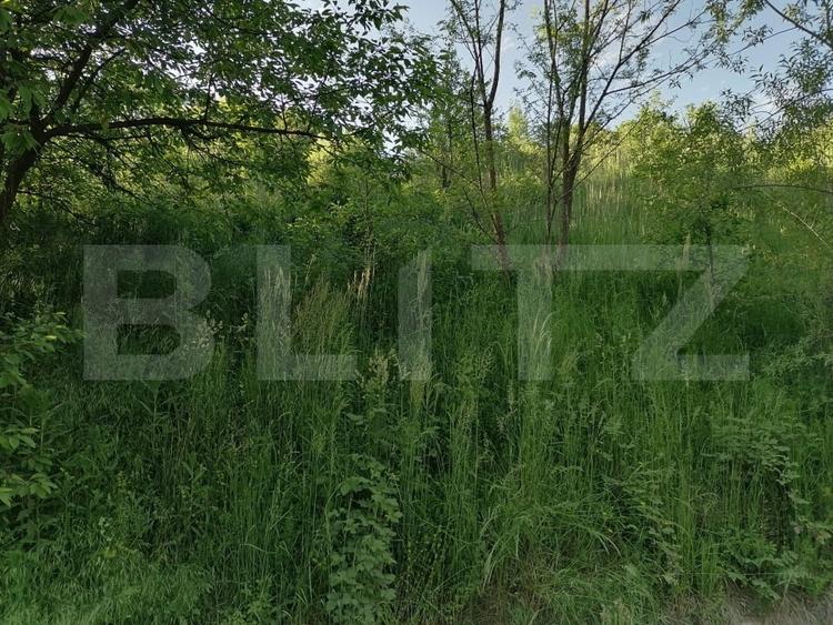 Teren agricol intravilan de 14400 mp, în Gemenea-Brătulești