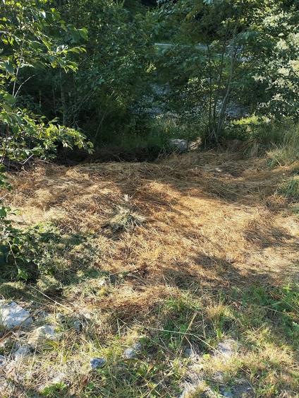 Teren de 2200 mp, în Voineasa