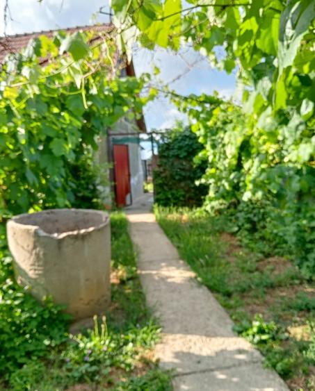 De vânzare teren intravilan cu o casă demolabilă  - 8
